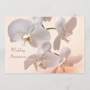 White - cream orchids Wedding Invitation