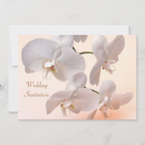 White - cream orchids Wedding Invitation