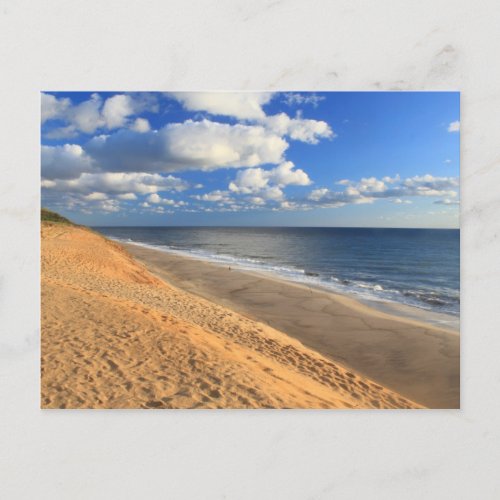 White Crest Beach Cape Cod Ocean Beach Overview Postcard