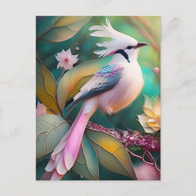 White Crested Blush Tail Jay Fantasy Bird Postcard (Front)