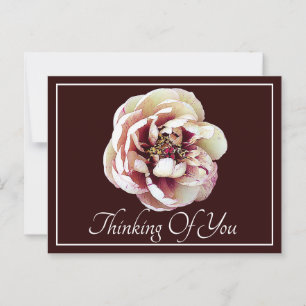 White Crimson Peony Wine Backdrop Thinking Of You Postcard