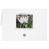 'White Crocus" Cards (Back Horizontal)
