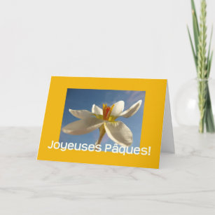 White crocus easter greeting - french holiday card