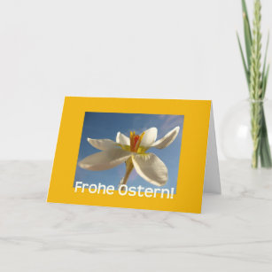 White crocus easter greeting - german holiday card