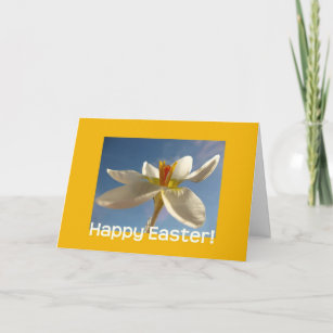 White crocus easter greeting holiday card