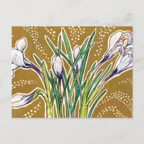White Crocuses Garden Flowers Botanical Floral Art Postcard