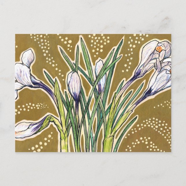 White Crocuses Garden Flowers Botanical Floral Art Postcard (Front)