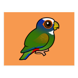 Birdorable White-crowned Parrot Postcard