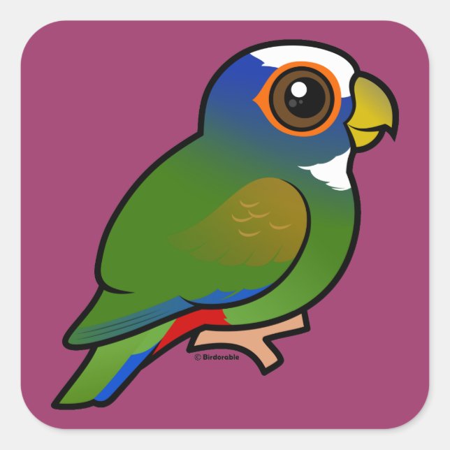 White-crowned Parrot Square Sticker (Front)