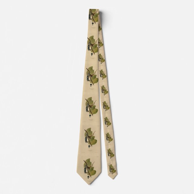 White-crowned Sparrow - Audubon's Birds of America Neck Tie (Front)