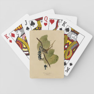 White-crowned Sparrow - Audubon's Birds of America Playing Cards