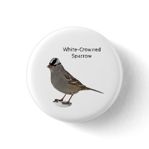 White-Crowned Sparrow Button