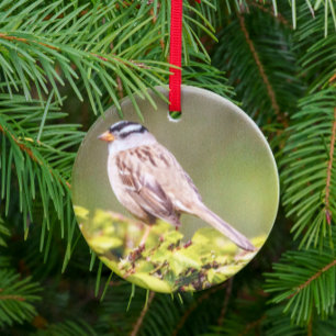 White-crowned Sparrow Holiday Gift Ceramic Ornament