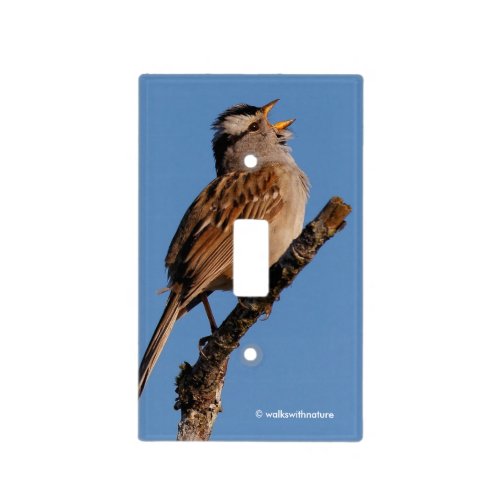 White_Crowned Sparrow Sings to the Sun Light Switch Cover