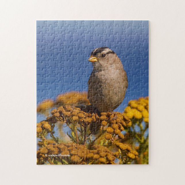 White-Crowned Sparrow Sitting on the Tansy Jigsaw Puzzle (Vertical)