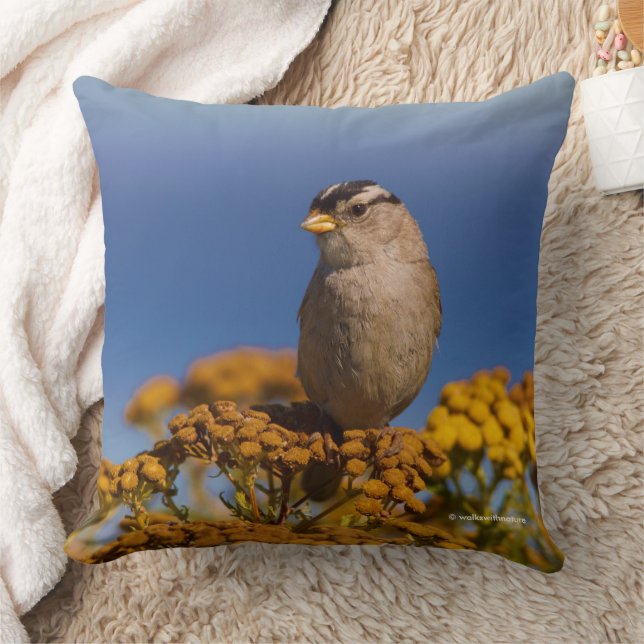 White-Crowned Sparrow Songbird Sitting on Tansy Throw Pillow (Blanket)