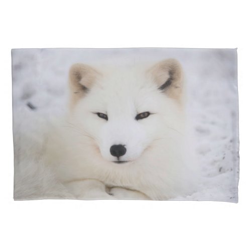 White cute fox in snow looking at you pillow case