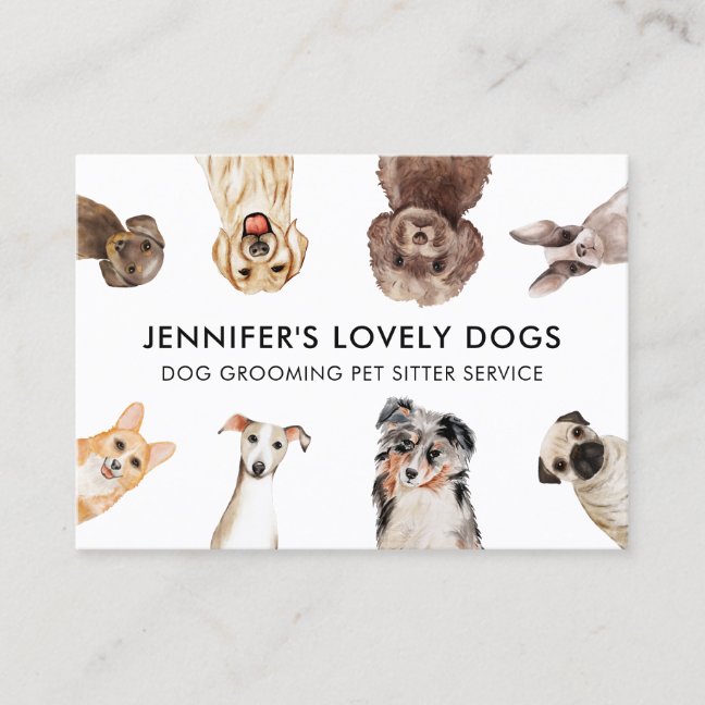 White Cute Small Size Dogs Pet Sitter Business Card