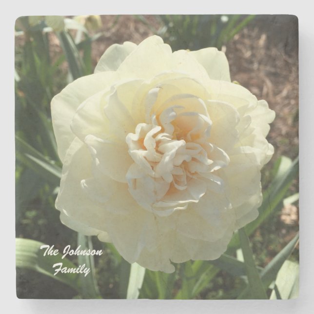 White Daffodil Customize your family Stone Coaster (Front)