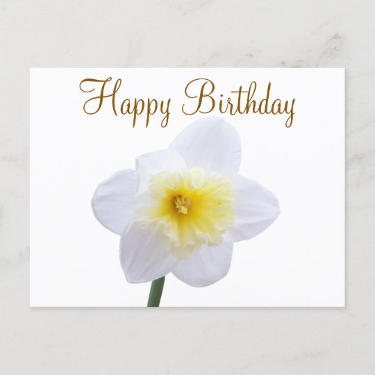 White Daffodil Flower Happy Birthday Postcard | Zazzle.com