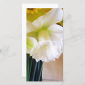 White Daffodil photocard (Front/Back)