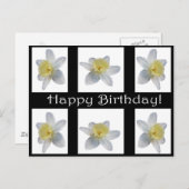White Daffodil Postcard (Front/Back)