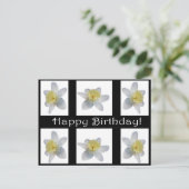 White Daffodil Postcard (Standing Front)
