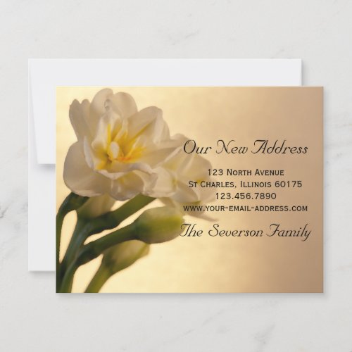 White Daffodils New Address Announcement