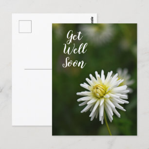 White Dahlia Flower Get Well Soon Postcard