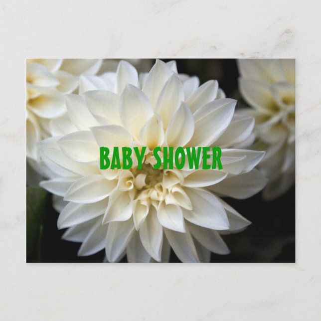 white dahlia flowers  baby shower invitation postcard (Front)