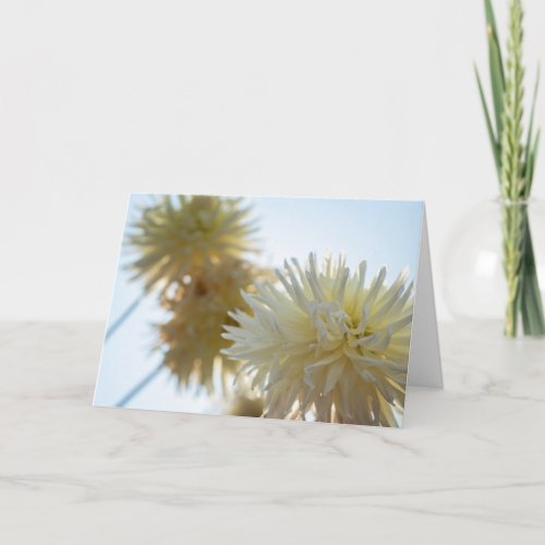 White Dahlia Happy Hanukkah Card