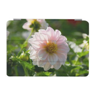 White dahlia in the garden photo iPad mini cover