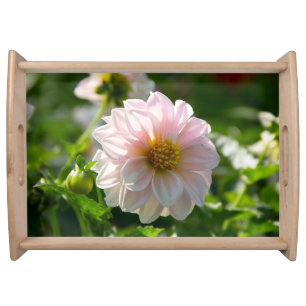 White dahlia in the garden photo serving tray