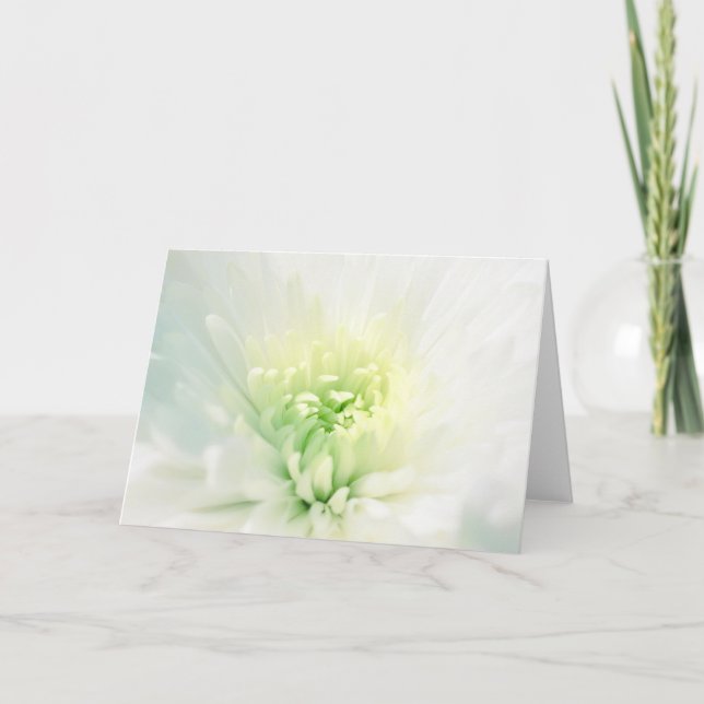 White Dahlia With Green Center Any Occasion Card (Front)