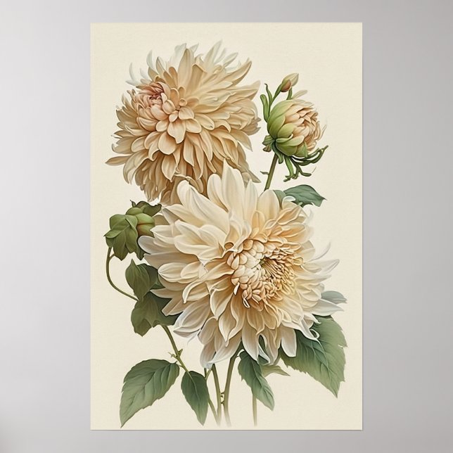 White Dahlias Flower Art Print Poster (Front)