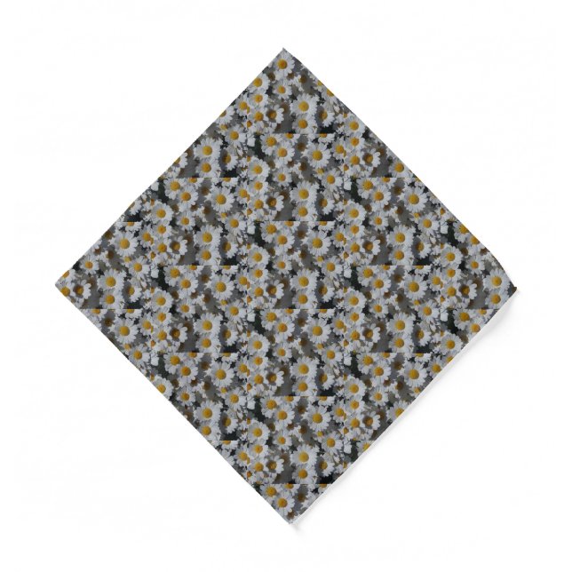 White Daisies  Bandana (Front)