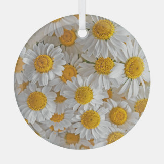 White Daisies: Beautiful Floral Background Glass Ornament
