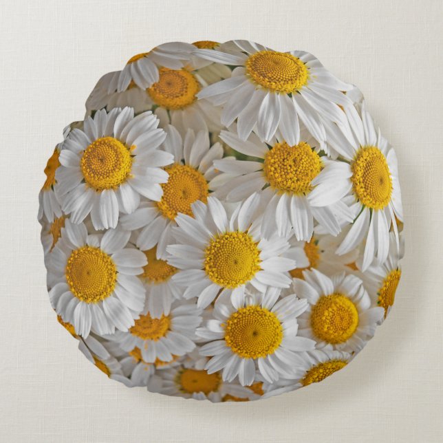 White Daisies: Beautiful Floral Background Round Pillow (Front)
