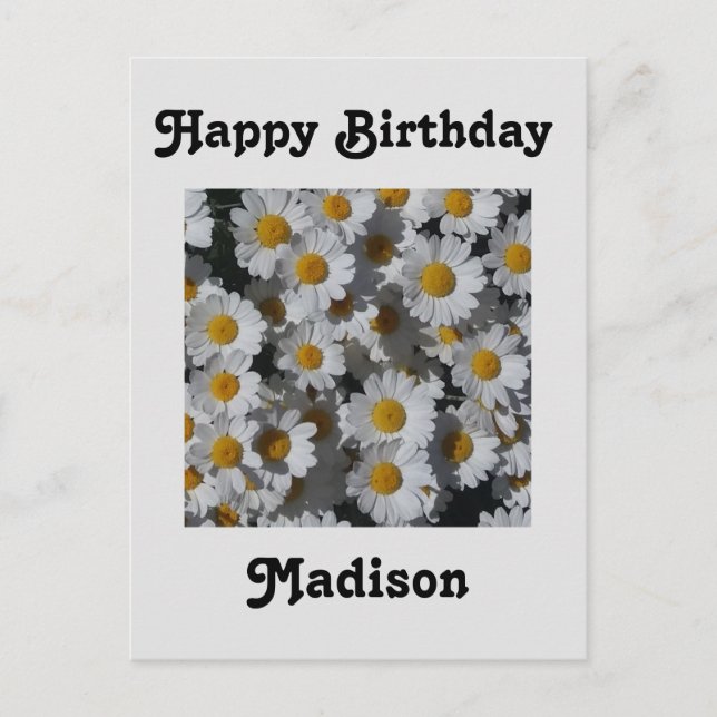 White Daisies Birthday Postcard (Front)