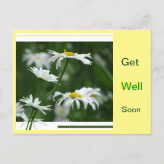 White Daisies Collage Cust. Get Well Soon Postcard