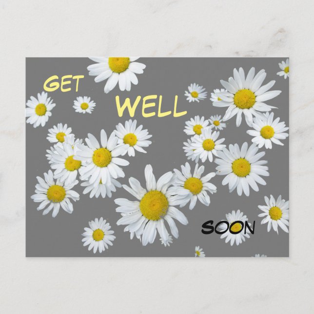 White Daisies Cust. Color 2 Get Well Soon Postcard (Front)