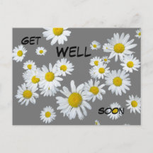 White Daisies Cust. Color Get Well Soon Postcard