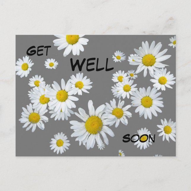 White Daisies Cust. Color Get Well Soon Postcard (Front)