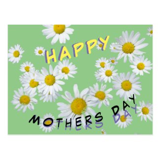 White Daisies Cust. Happy Mothersday Postcard