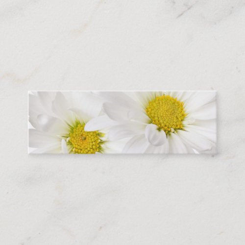 White Daisies - Customized Daisy Flower Template Business Card Template