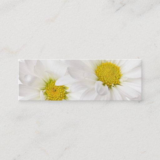 Customizable White Daisies - Customized Daisy Flower Template Business Card Template