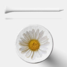 White Daisies Flower