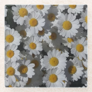 White Daisies Glass Coaster