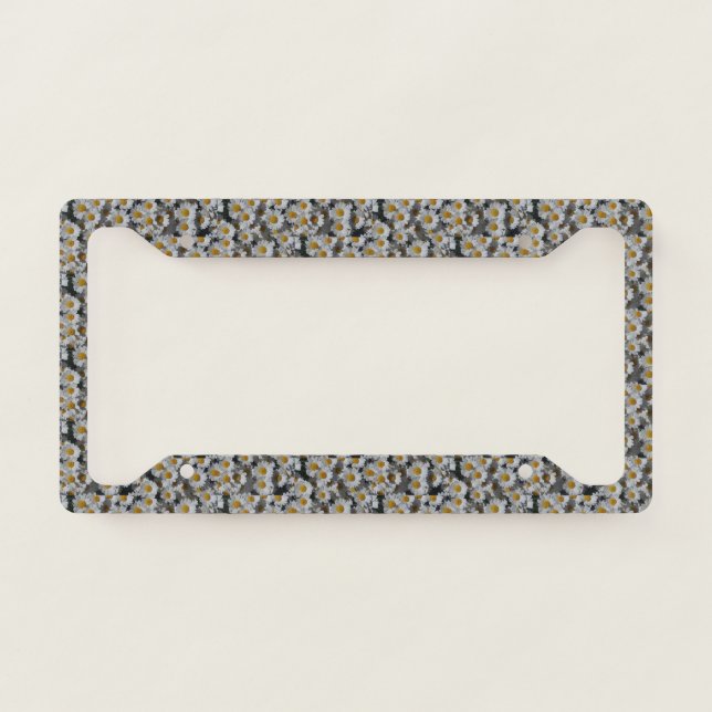 White Daisies  License Plate Frame (Front)