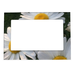 White Daisies Magnetic Frame